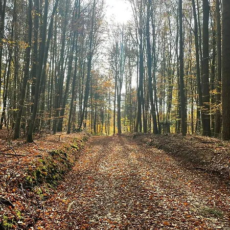 Hoellbach * Wiesent