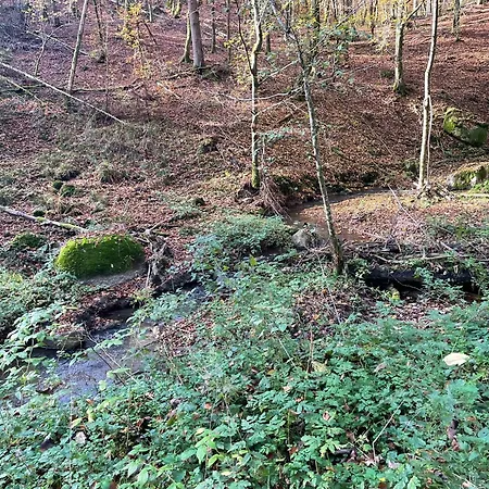 Hoellbach *