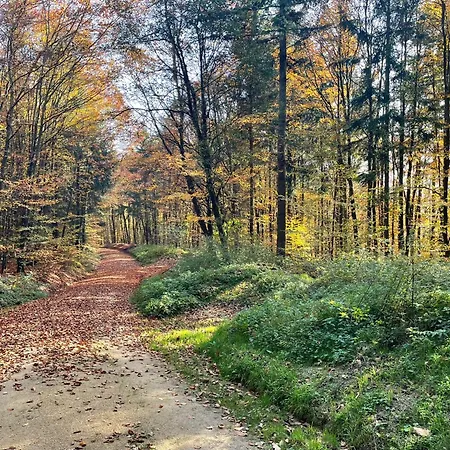 Lägenhet Hoellbach *