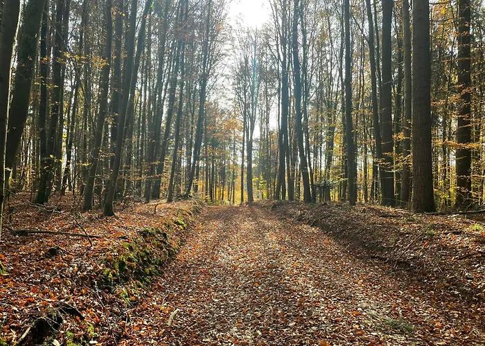 Hoellbach * Wiesent