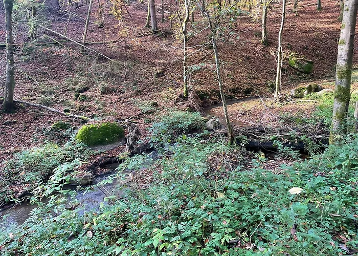 Hoellbach *